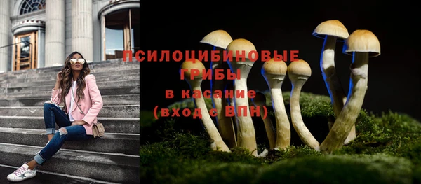 гидра Абдулино