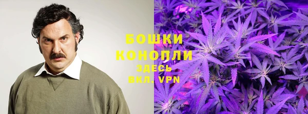 ГАЛЛЮЦИНОГЕННЫЕ ГРИБЫ Михайловск