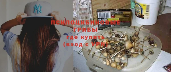 гидра Абдулино