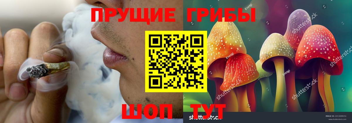 Псилоцибиновые грибы Cubensis Норильск
