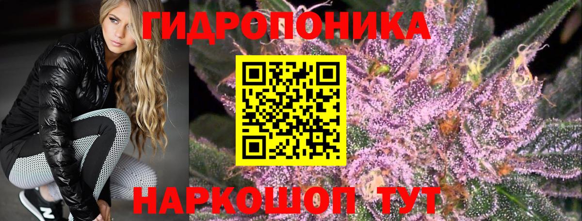 Марихуана Bruce Banner  Бошки марихуана конопля  Вход с VPN  Норильск  Каннабис VHQ  Бошки марихуана ГИДРОПОН 